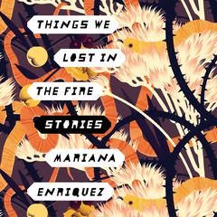 Things We Lost in the Fire by Mariana Enriquez audiobook