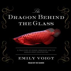 The Dragon Behind the Glass by Emily Voigt audiobook