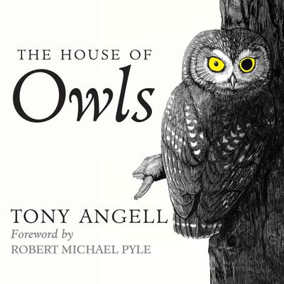 The House of Owls by Tony Angell audiobook