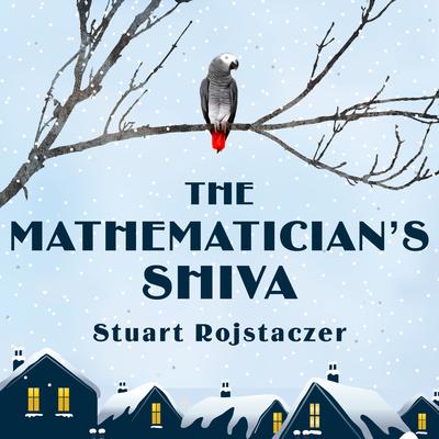 The Mathematician's Shiva by Stuart Rojstaczer audiobook