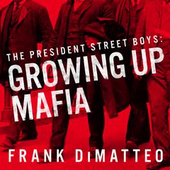 The President Street Boys by Frank DiMatteo audiobook