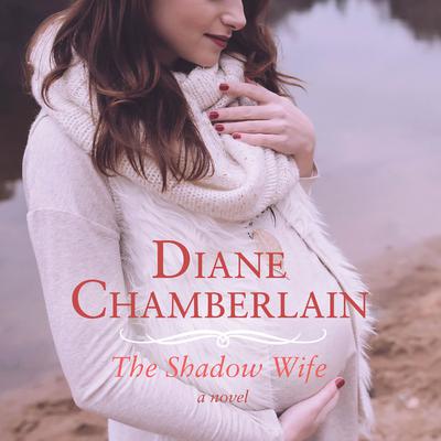 The Shadow Wife by Diane Chamberlain audiobook