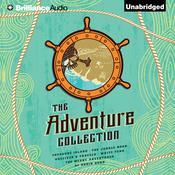 The Adventure Collection by  Howard Pyle audiobook