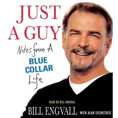 Just a Guy by Bill Engvall audiobook