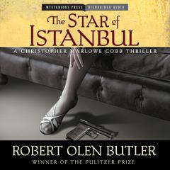 The Star of Istanbul by Robert Olen Butler audiobook