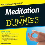 Meditation for Dummies Audiobook, 2nd Edition by  Stephan Bodian audiobook