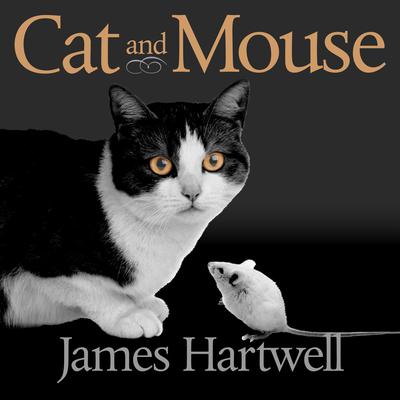 Cat and Mouse by Hartwell James audiobook