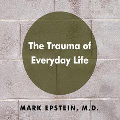 The Trauma of Everyday Life by Mark Epstein audiobook