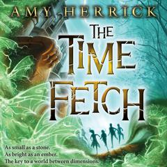 The Time Fetch by Amy Herrick audiobook