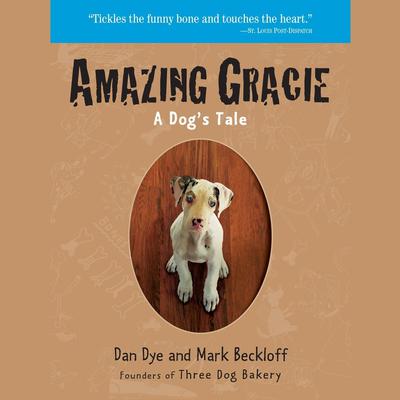 Amazing Gracie by Dan Dye audiobook