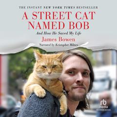 A Street Cat Named Bob by James Bowen audiobook