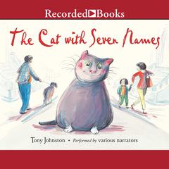 The Cat with Seven Names by Tony Johnston audiobook