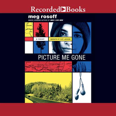 Picture Me Gone by Meg Rosoff audiobook