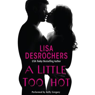 A Little Too Hot by Lisa Desrochers audiobook