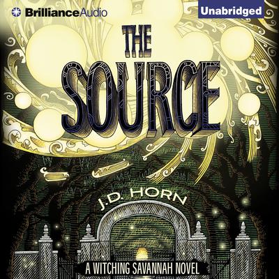 The Source by J. D. Horn audiobook