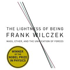 The Lightness Being by Frank Wilcze audiobook