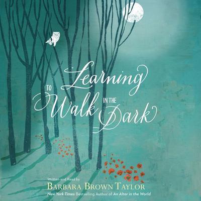 Learning to Walk in the Dark by Barbara Brown Taylor audiobook