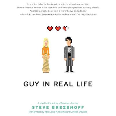 Guy in Real Life by Steve Brezenoff audiobook