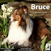 Bruce by  Albert Payson Terhune audiobook