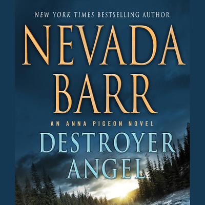 Destroyer Angel by Nevada Barr audiobook