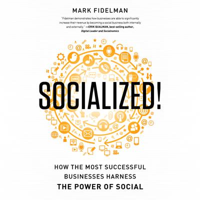 Socialized! by Mark Fidelman audiobook