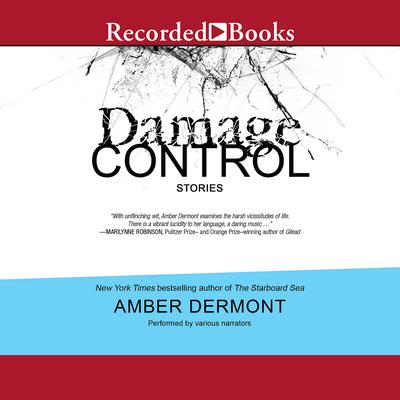 Damage Control by Amber Dermont audiobook