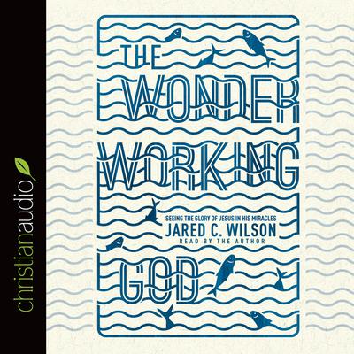 Wonder-Working God by Jared C. Wilson audiobook