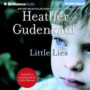 Little Lies by  Heather Gudenkauf audiobook