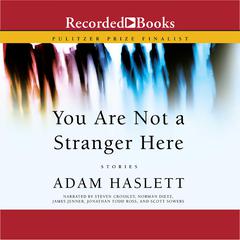You Are Not A Stranger Here by Adam Haslett audiobook