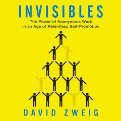 Invisibles by David Zweig audiobook