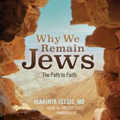 Why We Remain Jews by Vladimir A. Tsesis audiobook
