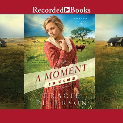 A Moment in Time by Tracie Peterson audiobook