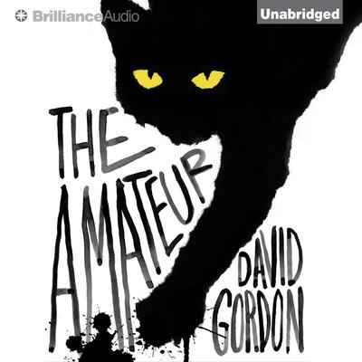 The Amateur by David Gordon audiobook
