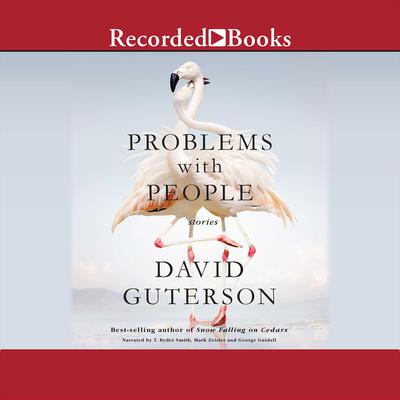 Problems with People by David Guterson audiobook