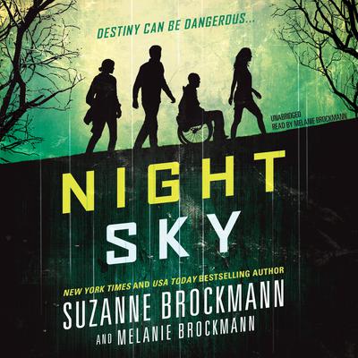 Night Sky by Suzanne Brockmann audiobook