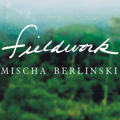 Fieldwork by Mischa Berlinski audiobook