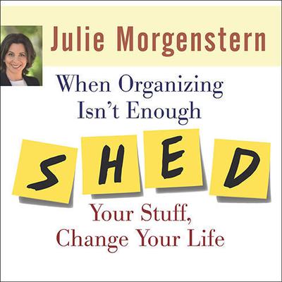 When Organizing Isn't Enough by Julie Morgenstern audiobook