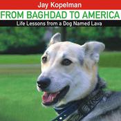 From Baghdad to America by  Jay Kopelman audiobook
