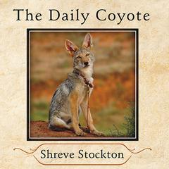 The Daily Coyote by Shreve Stockton audiobook