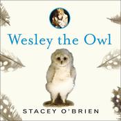Wesley the Owl by  Stacey O’Brien audiobook