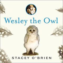Wesley the Owl by Stacey O’Brien audiobook