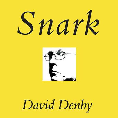 Snark by David Denby audiobook