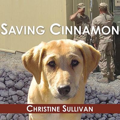 Saving Cinnamon by Christine Sullivan audiobook