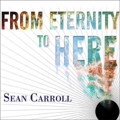 From Eternity to Here by Sean Carroll audiobook