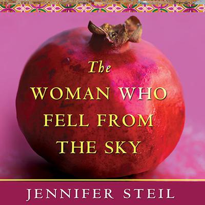 The Woman Who Fell from the Sky by Jennifer Steil audiobook
