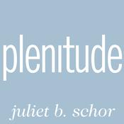 Plenitude by  Juliet B. Schor audiobook