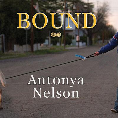 Bound by Antonya Nelson audiobook