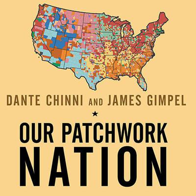 Our Patchwork Nation by Dante Chinni audiobook