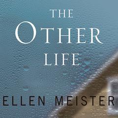 The Other Life by Ellen Meister audiobook