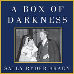 A Box of Darkness by Sally Ryder Brady audiobook